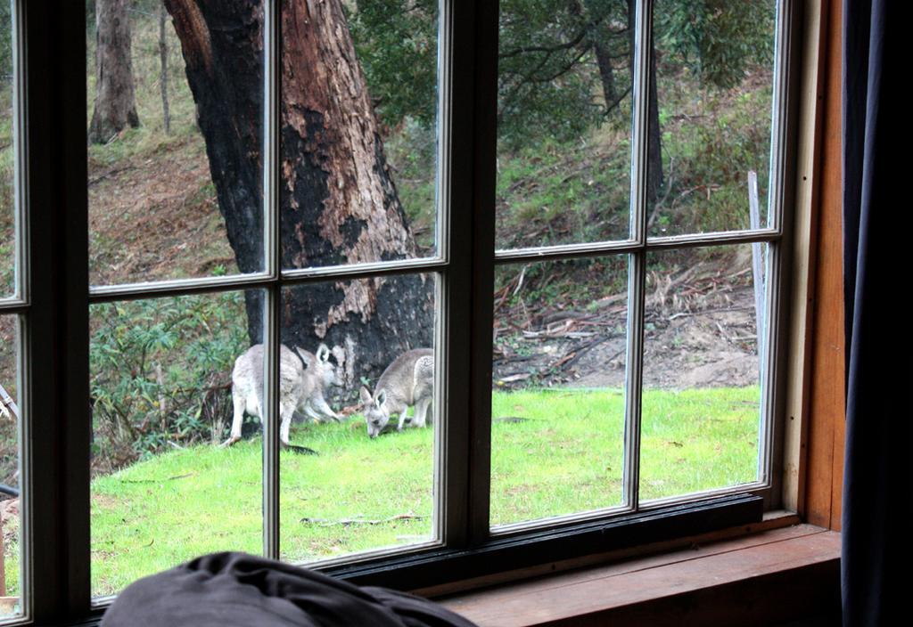 La Boheme Secluded Luxury Spa Villa Daylesford Cameră foto
